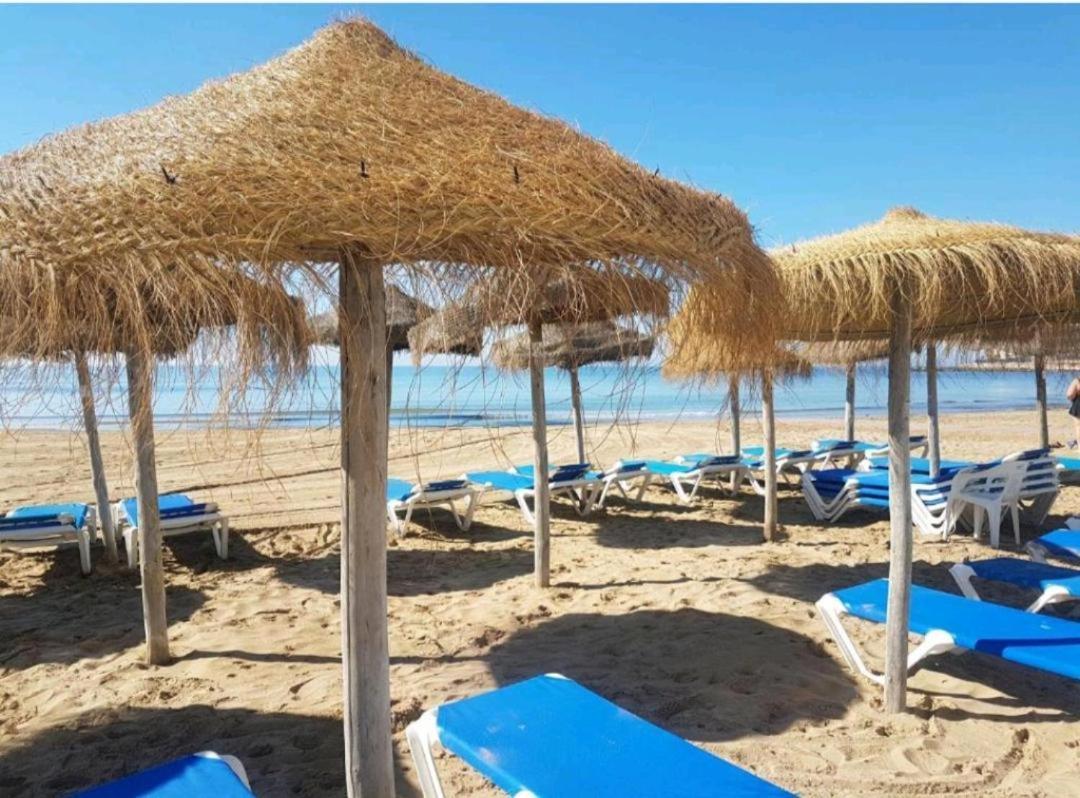 Luxury Evita Apartments In Torrevieja Eksteriør billede
